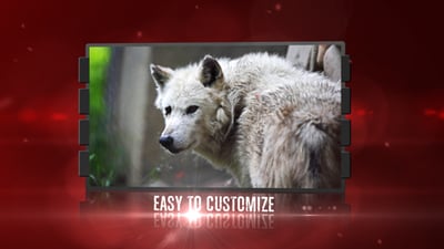 MOLOSSUS - Epic trailer