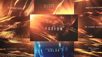 The Fusion