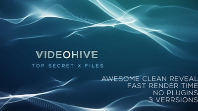Elegant Fast Logo Reveal 