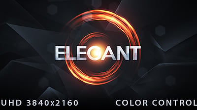 Logo Intro