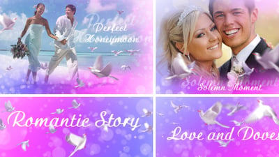 Love And Doves