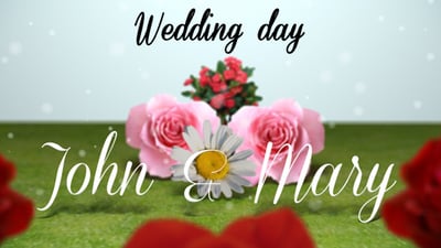 Wedding Day