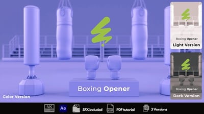 Boxing Opene
