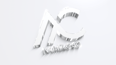 Logo Reveal