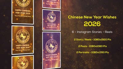 Chinese New Year Greetings 2025 - Instagram Stories