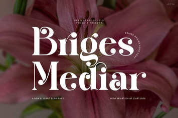 Briges Mediar Elegant Ligature Serif Font Typeface