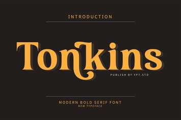 Modern Font Tonkins