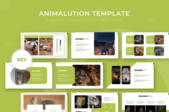 Animalution - Keynote Template