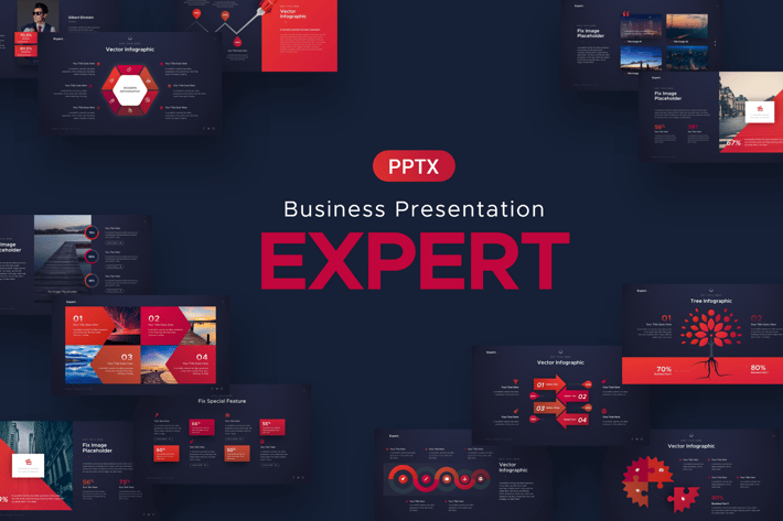 Expert Business Powerpoint Template