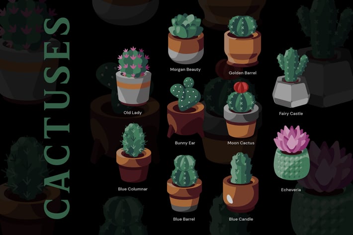 Cactuses