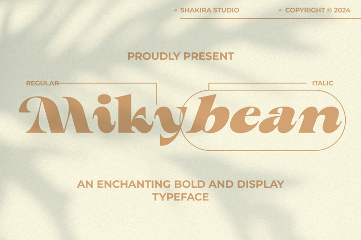 Mikybean - Bold Serfi Display