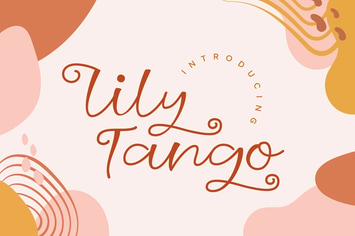 Lily Tango - Display | Script | Logo Font
