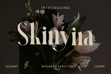 Skinyira Modern Serif Font