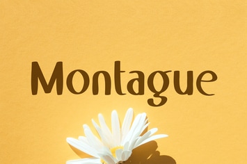 Unique Font