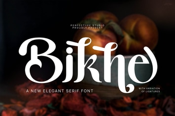 Bikne Elegant Serif Font Typeface