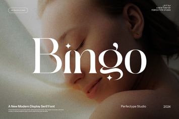 Bingo - Modern Serif Font
