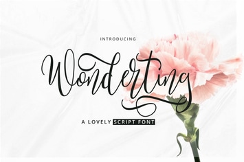 Wonderting Script