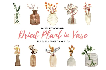 10 Watercolor Dried Plant in Vase Illustration