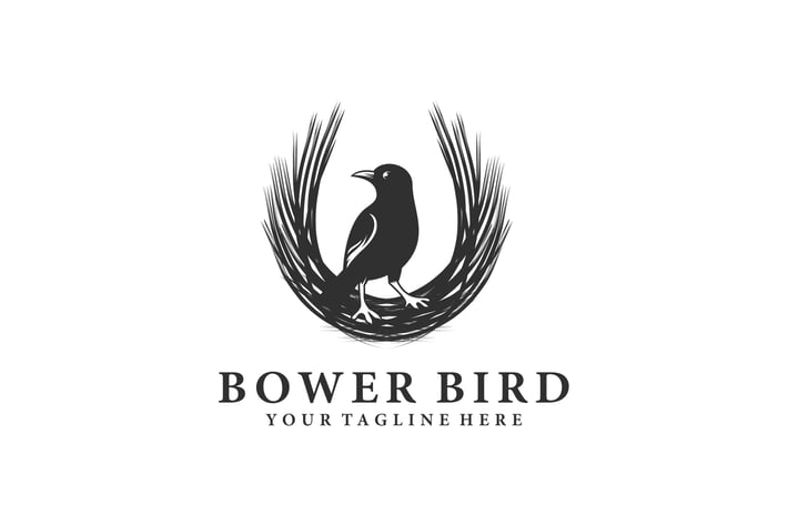 BOWER BIRD