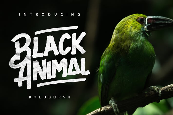 Black Animal