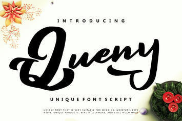 Queny | Unique Font Script