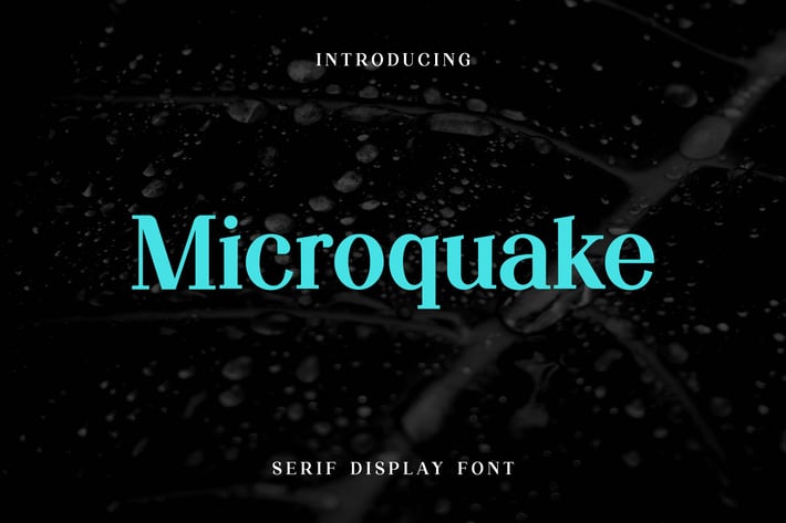 Microquake Serif Display Font