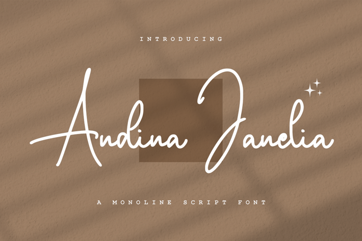Andina Janelia - Signature Font