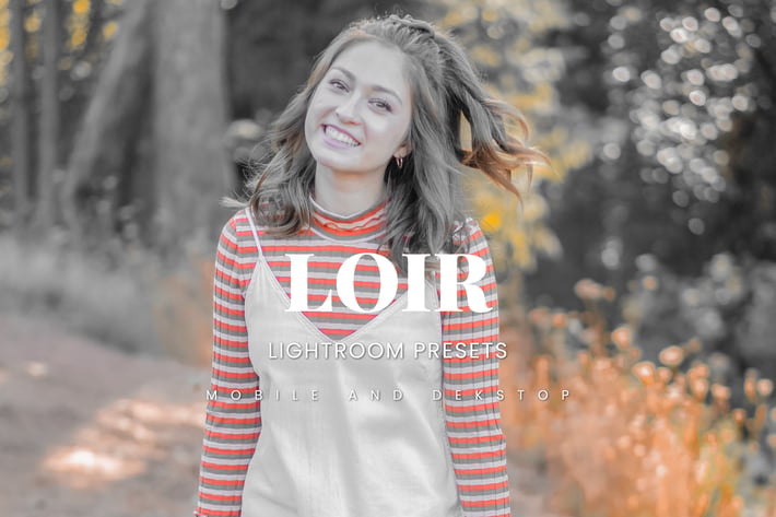 Loir Lightroom Presets Dekstop and Mobile
