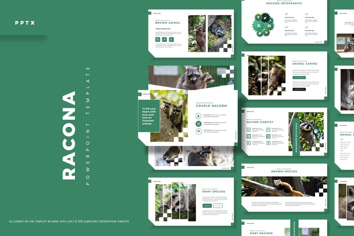 Racona - Powerpoint Template