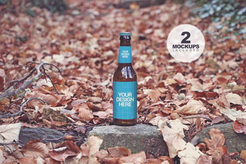 Beer Path In The Forest