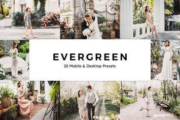 20 Evergreen Lightroom Presets & LUTs