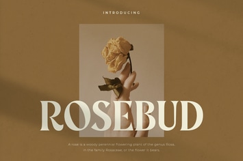 Rosebud - Display Vintage Font