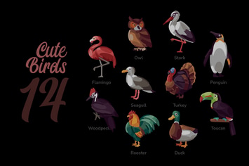 Cute Birds - Illustration Sets