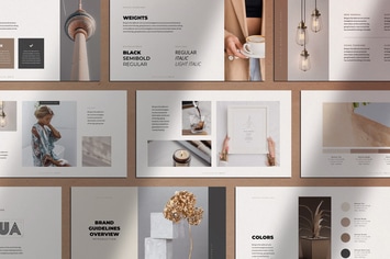 Noctua Keynote Brand Identity Guidelines