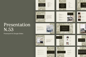 Presentation N53