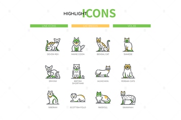 Cat breeds - modern line design style icons set