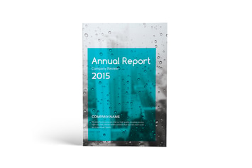 Annual Report