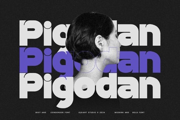 Pigodan - Modern Sans Font