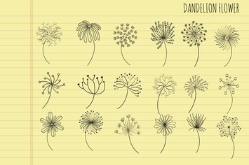 Dandelion Flower Hand Drawn