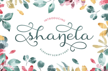 Shanela - Romantic Modern Script Font