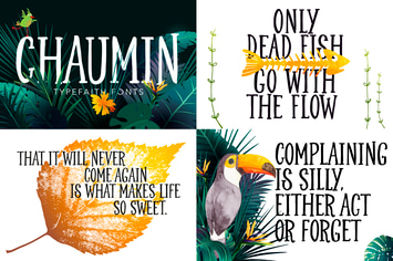 Chaumin Handcrafted Font