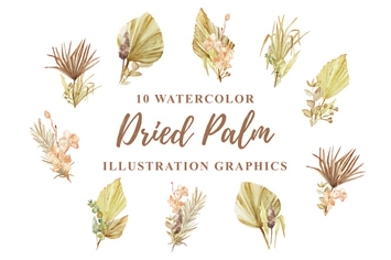 10 Watercolor Dried Palm Illustration Graphics