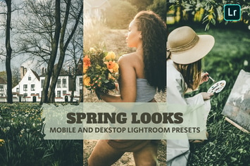 Spring Looks Lightroom Presets Dekstop and Mobile