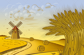 Wheat Fields Landscape