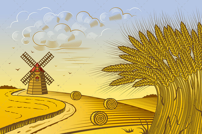 Wheat Fields Landscape