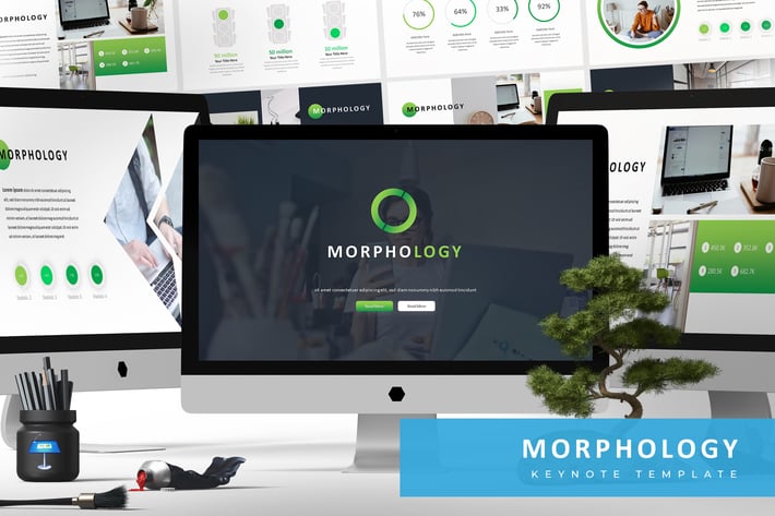 Morphology - Keynote Template