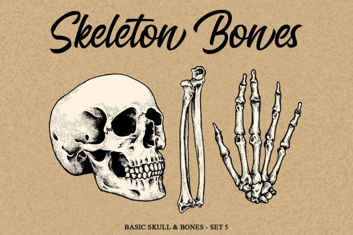 Skeleton Bones set 5