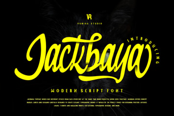 Jackbaya | Modern Script Font