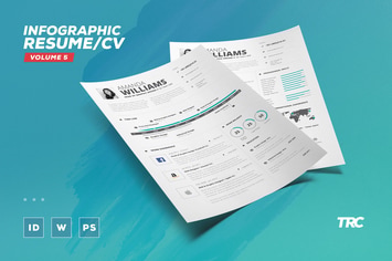 Infographic Resume/Cv Volume 5