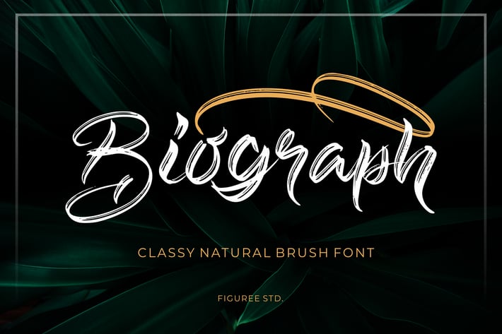 Biograph - Brush Font